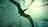 Chinese pterosaur’s last meal feeds...