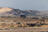 Denmark to buy Kongsberg, Covenant...