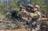 US Army wants a surface-to-air missile...