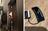 Toilet paper and secret recorders:...