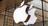 Apple issues new challenge against UK...