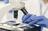 New clues to how infectious fungus...