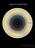 APOD: 2026 September 8 – Hubble:...