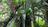 2 rare owl chicks fledge in Hong Kong...
