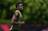 Canada captain Alphonso Davies, Moise...