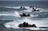 US cancels joint marine drills with...