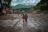 Nepal’s Deadly Floods Put China and...
