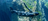 Hydrophilis Rebreather: After the...