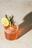 Jailhouse Booze For Home Bootleggers